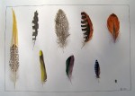 Plumes - 26x36 cm - 80 €