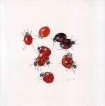 Coccinelles - 20x20 cm - 70 €