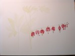 Coeurs de Marie - Aquarelle - Juin 2013