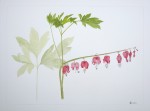 Coeurs de Marie - Aquarelle - Juin 2013