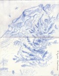 Chartreuse - Crayon bleu - Août 2013