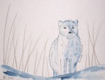 Animal des pays froids - Aquarelle et feutre - Novembre 2013