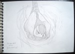 Autour des palombes - Graphite - 2017