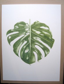 Monstera - Aquarelle - Avril 2017