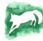 52 nuances de renard