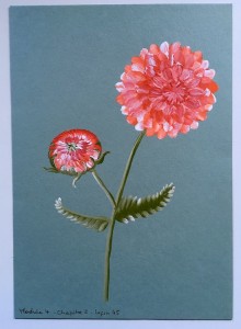 Dahlia - Gouache - 2023