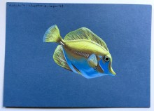 Poisson - Gouache - 2023