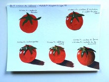 Tomates - Gouache - 2023